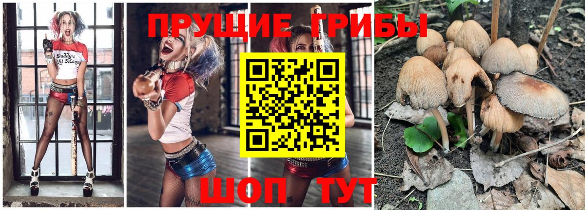 Галлюциногенные грибы ЛСД  Вход с VPN  Майкоп 