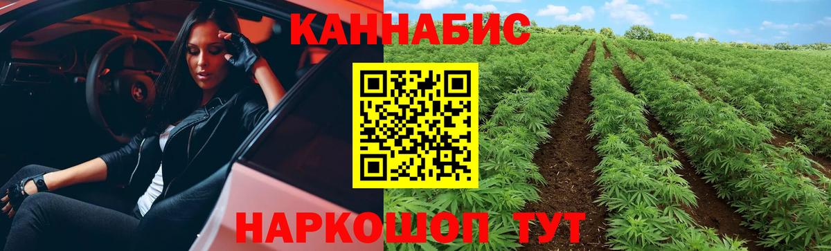 Шишки марихуана семена  Шишки марихуана White Widow  Вход с VPN  МАРИХУАНА Ganja  Майкоп 
